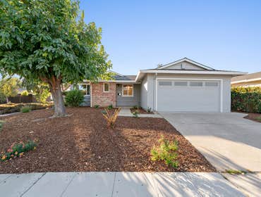 Exterior landscaping