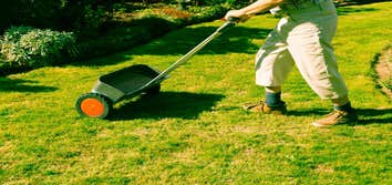Morrison Property Maintenance & Landscape Group