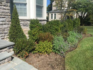 Photos by Rojas Construction and Landscaping #2