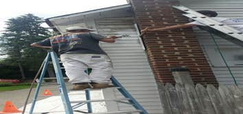 Photos from Don's Painting