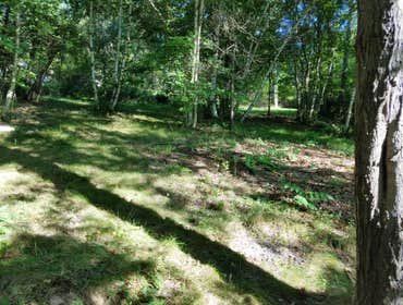 New site to be cleared