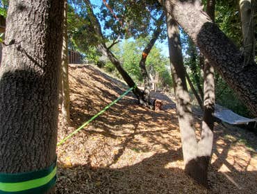 Photos by Tuyub Landscaping #16