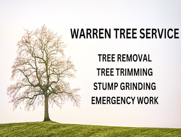 Photos by Warren Tree Service #1
