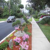 Dead Man Walking This homeowner could not see upon exiting his driveway because another contractor installed the wrong plants 1 year before we got the