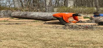 Ruiz Landscaping & Tree Trimming