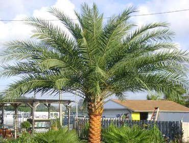 Photos by B&c Fruit Trees & Landscape LLC #1