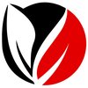 Bizy Boys Lawn & Yard Care logo