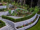 Photos by Maltese Contracting Water Proofing and Landscaping #1
