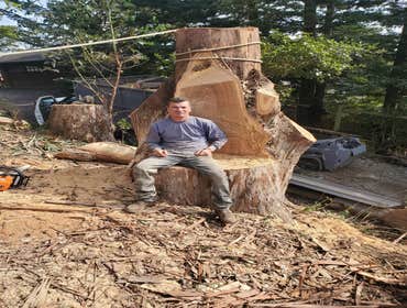 Photos by Ruiz Tree Service #4