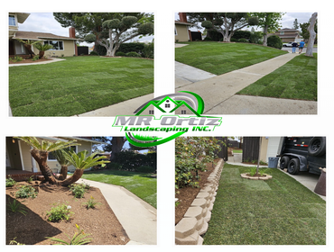 Photos by Mr Ortiz Landscaping Inc #12