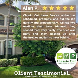 Tree Trimming by Classic Cut Lawn Care Services We trimmed a big tree by the front yard of a client in Delray Beach. We were doing a Landscaping...