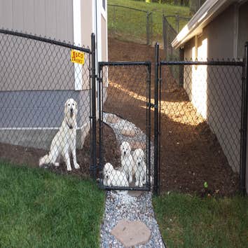 Dog Mansion complete