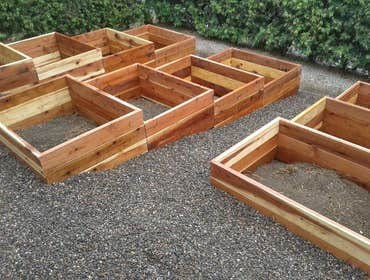 Planter Boxes