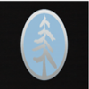 Blue Sound Construction Inc logo