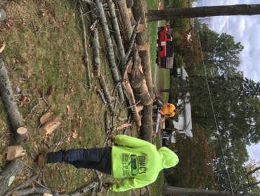 Photo(s) from Mikes Landscaping And Snow Plowing, Llc Tree work