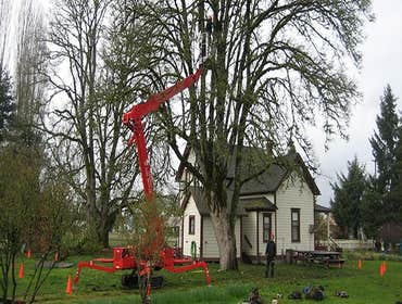 Photos from General Tree Service