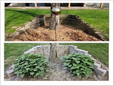 Project Photos
