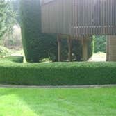 Photos from Green Grass Landscaping Inc