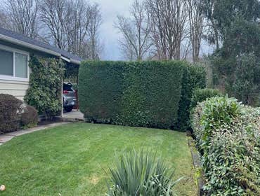 Photos by Maci Landscaping Services LLC #1
