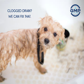 GMP Plumbing