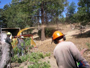Photos by Estates Tree Service #1