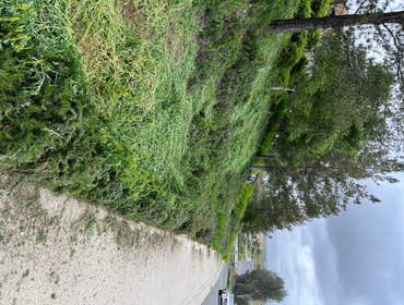 Photos by Pastrano's Landscaping #1