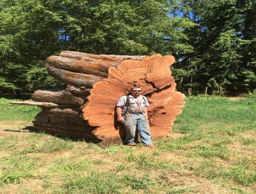 Photo(s) from Justin L Foss Tree Service