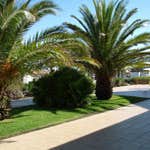 Photos from Agoura Tree Service