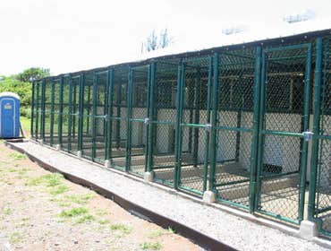 Fences
