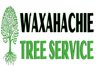 Photos by Waxahachie Tree Service #1