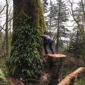 Photo(s) from Justin L Foss Tree Service