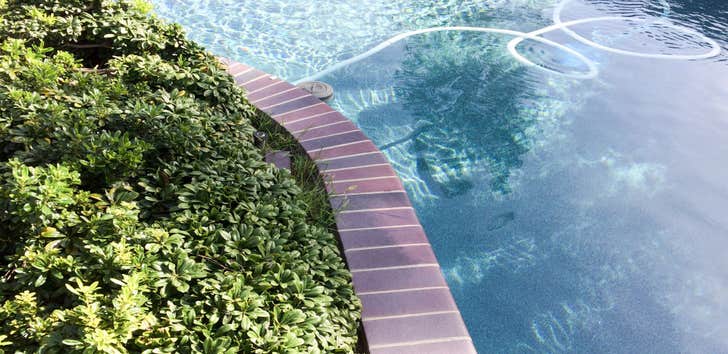 Mesa Pool Resurfacing Plus