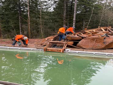 Photos by Tyeco Home Services LLC #3 Concrete Pool slide build!