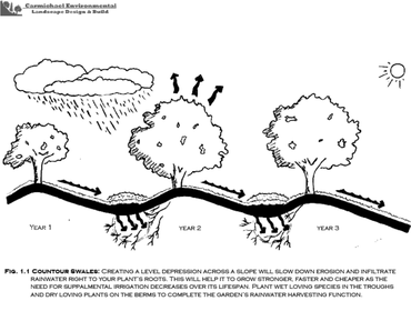 Natural Drainage