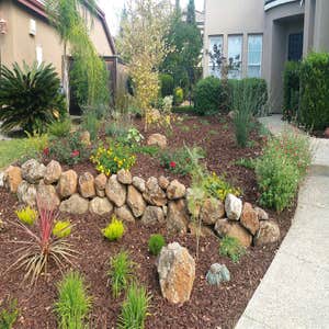 Photos from Greenheart Nursery and Landscape