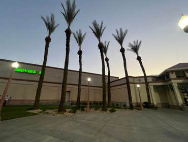 Photos by Dangi´s Landscaping and Tree Services #5