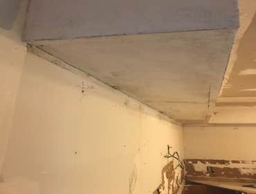 Photos by Dc Painters and More #1