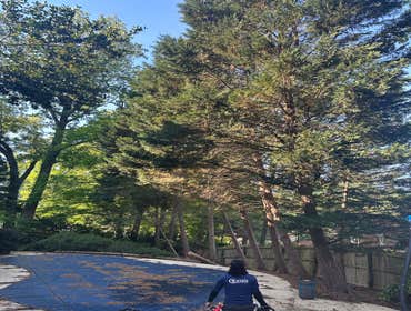 Photos by Kings Tree Service & Landscaping Co #21