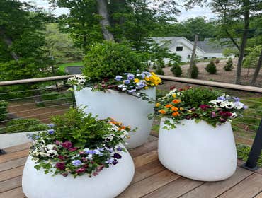 Photos by Hernandez ASSOC. Landscaping