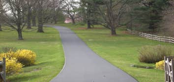 Paving