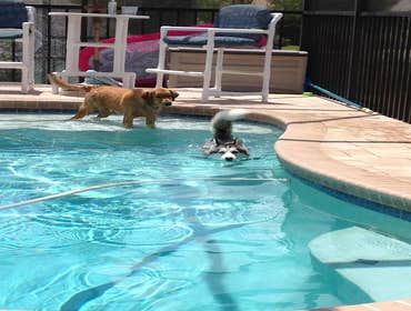Photos from Larsen's Pool & Spa, LLC
