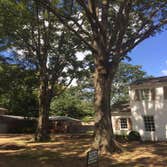 Photos by Upward Outdoor Tree Services #1