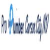 Pro Plumber Carson City Nv logo