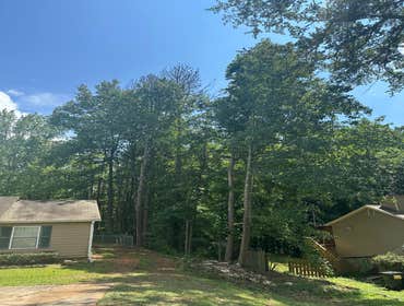 Photos by Kings Tree Service & Landscaping Co #23