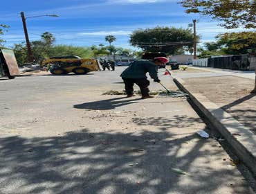 Photos by California Green Tree Care #1