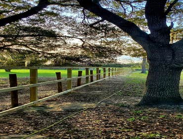 Fences