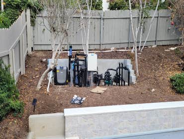 Before planting & mulch