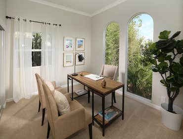 Spanish contemporary