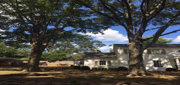 Photos by Upward Outdoor Tree Services #1