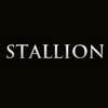 Stallion Total Painting logo
